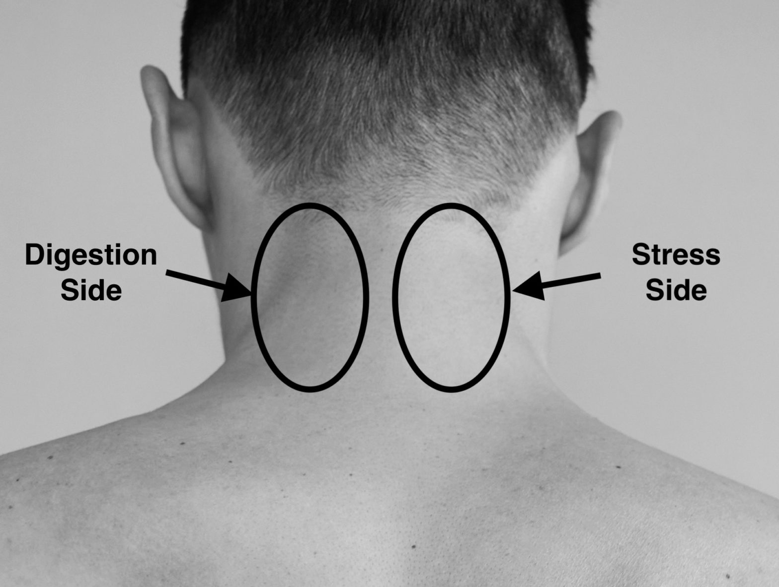 How To Heal Left Side Neck Pain