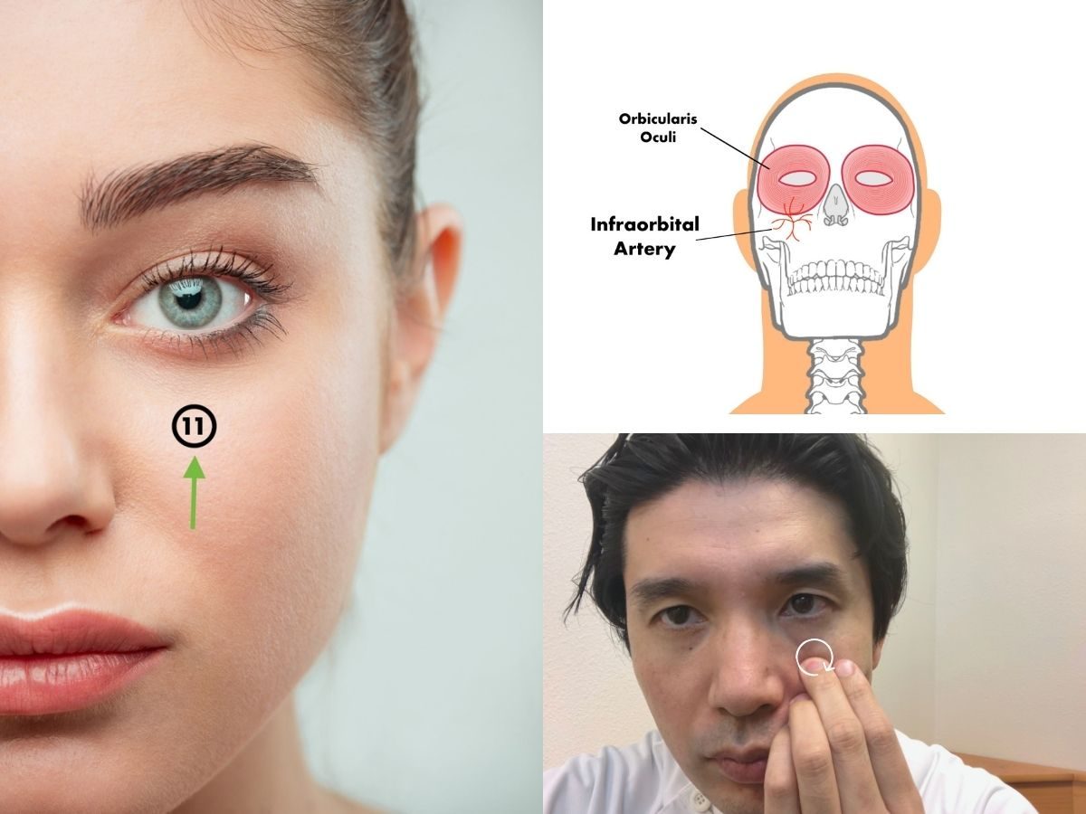 11th point for Bell's palsy