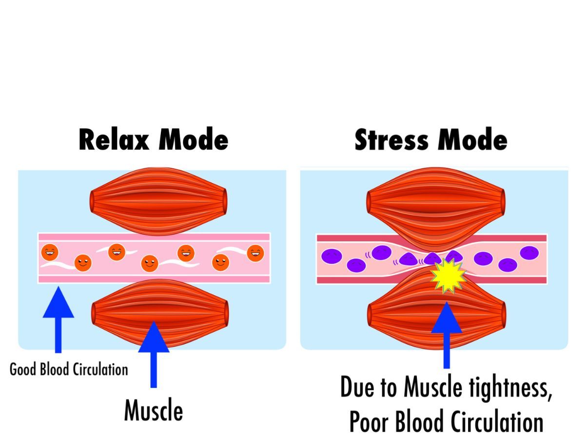 Autonomic nervous System and Neck pain