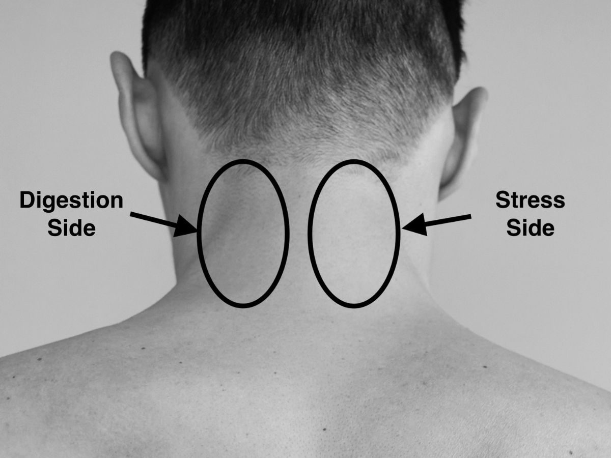 Stress and Digestion related to neck pain