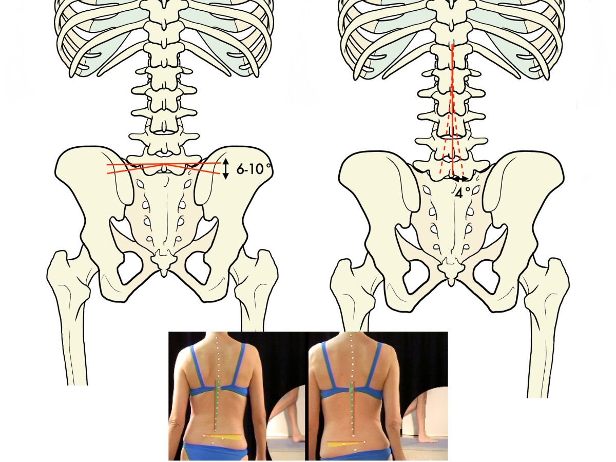 The Important of Pelvis and spine movement