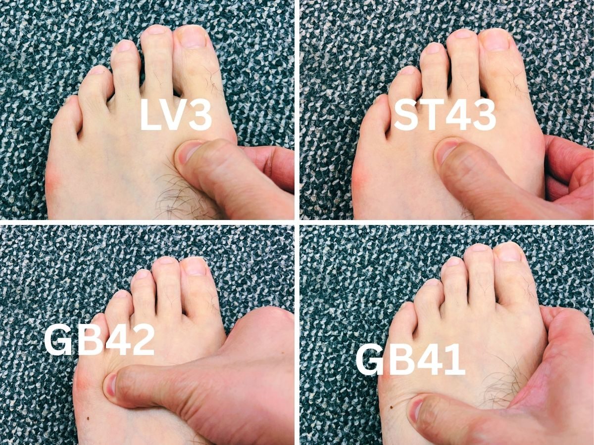 LV3, ST43, GB41, GB42